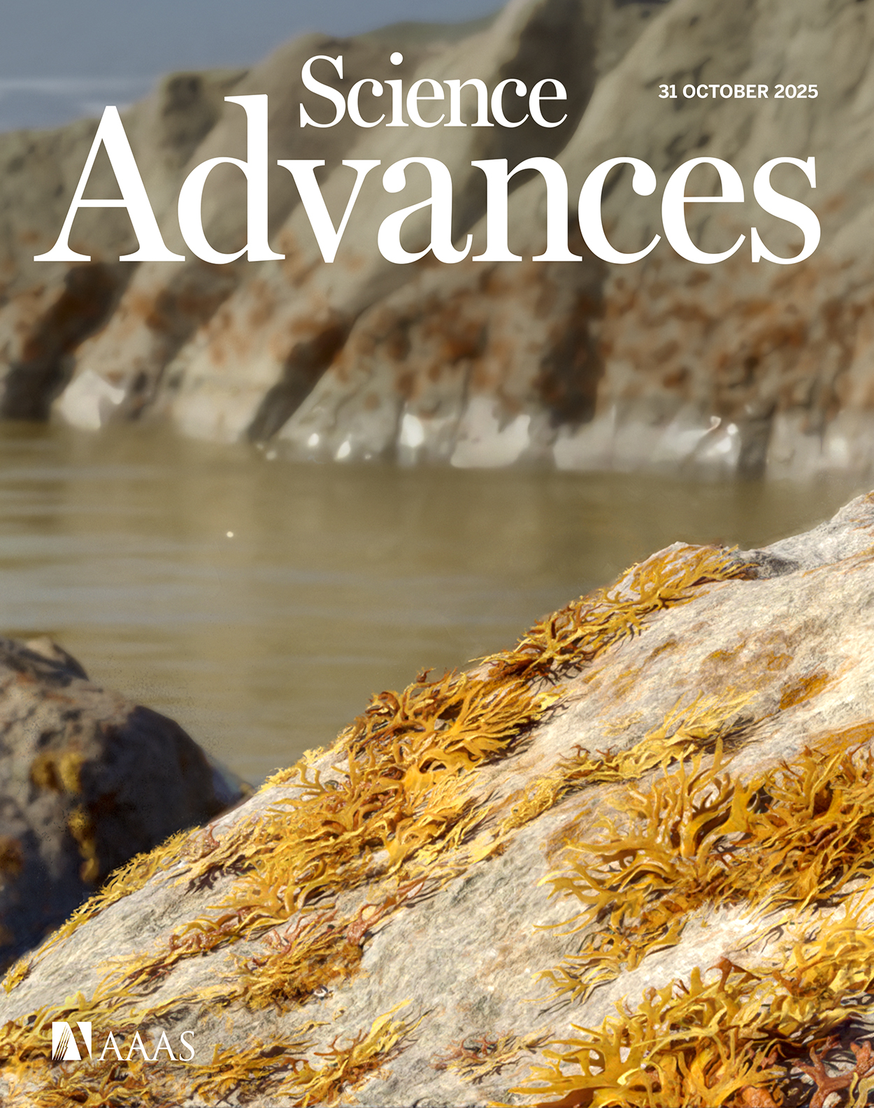sciadv_cover